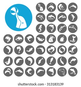 Dolphin icons set. Illustration EPS10