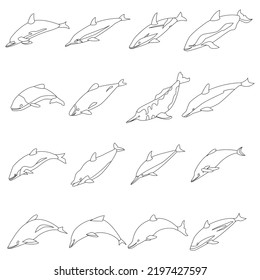 Dolphin icons set. Isometric set of dolphin vector icons outline thin lne isolated on white