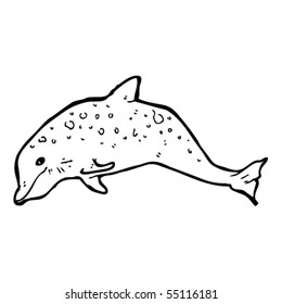 dolphin illustration