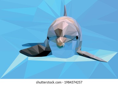 dolphin illustration low poly style