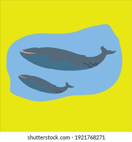 dolphin illustratioon vector set art