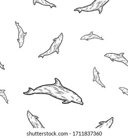 Dolphin, isolated animal. Sketch scratch board imitation. Black and white hand drawn image. Seamless pattern background vector illustration