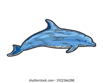 Dolphin, isolated animal. Sketch scratch board imitation illustration.