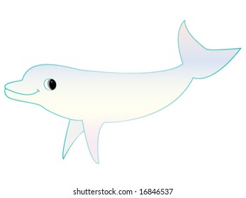 dolphin isolated on white background