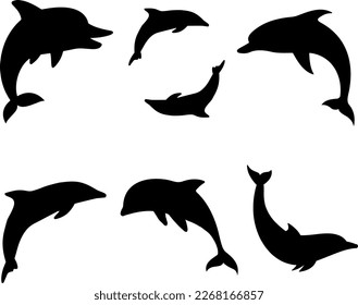 Delfin einzeln auf weißem Hintergrund