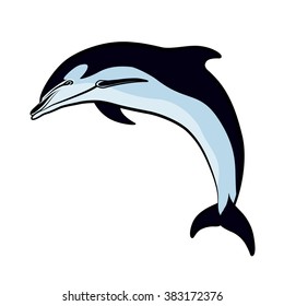 Dolphin jumped out of the sea