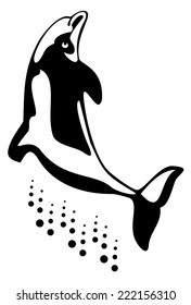 dolphin jumping