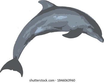 Dolphin jumping in air vector cartoon