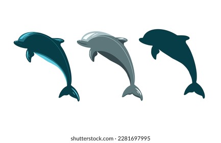 dolphin jumping, doliphin three color, ocean animal