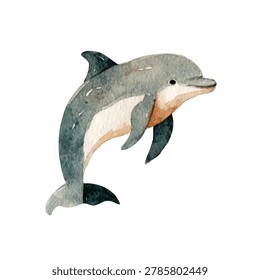 Dolphin jumping fast out water