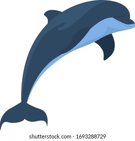 Salto de golfinho, ilustração, vetor sobre fundo branco