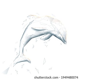 Dolphin jumping. Low poly, geometric, wire, Particles, lines, and triangles outline. Vector illustration