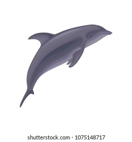 Dolphin jumping, marine mammal, inhabitant of sea and ocean vector Illustration on a white background