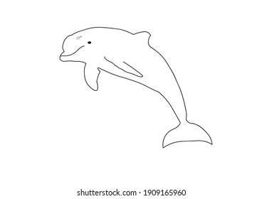A dolphin jumping on a white background