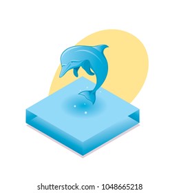 Dolphin jumping out of the wate