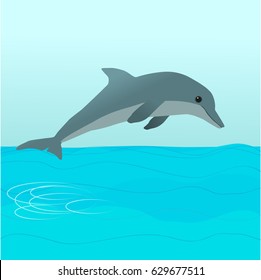 
A dolphin jumping out of the water