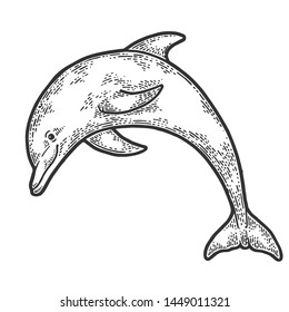 Dolphin jumping from water sketch engraving vector illustration. Scratch board style imitation. Hand drawn image.