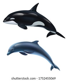 Dolphin and killer whale realistic icon set two mammals isolated and realistic vector illustration