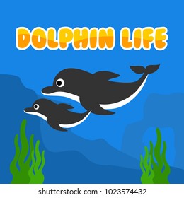 Dolphin Life Illustration