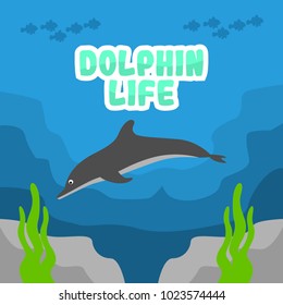 Dolphin Life Illustration