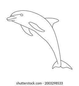 Video-Clip-Art der Dolphin Line 