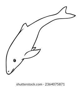 dolphin line vector illustration,isolated on white background,top view