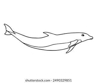 Ilustración vectorial de línea de delfín, aislado sobre fondo blanco, vista superior