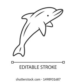 Dolphin linear icon. Undersea world. High intelligent water creature. Marine fauna. Entertainment dolphin show. Thin line illustration. Contour symbol. Vector isolated outline drawing. Editable stroke