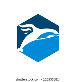 Dolphin Logo Design Icon Template  