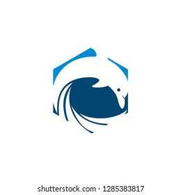Dolphin Logo Design Icon Template  