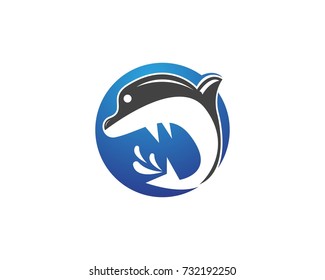 Dolphin logo design template