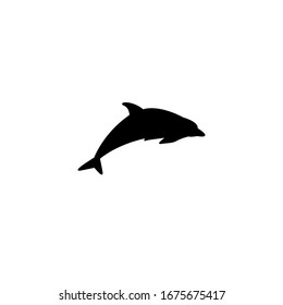 dolphin logo design template inspiration, vector illustration