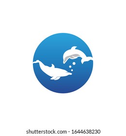 Dolphin logo design vector illustration