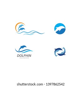 Dolphin logo icon vector template