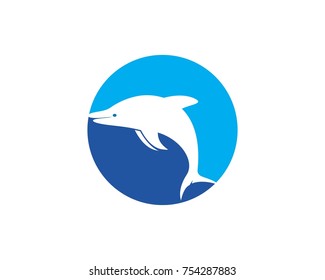 Dolphin logo icon vector template