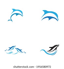 Dolphin Logo set Vector illustration  design template