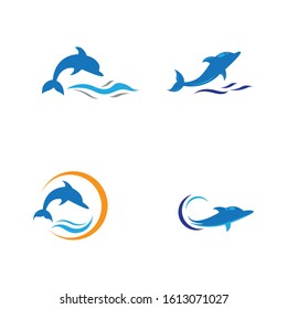 Dolphin logo template vector icon illustration design