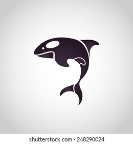 dolphin logo vector