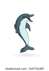 Dolphin, mammal, aquatic animal- vector flat illustration. Stock.