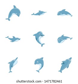 Dolphin mammal icon set. Cartoon set of 9 dolphin mammal vector icons for web design isolated on white background