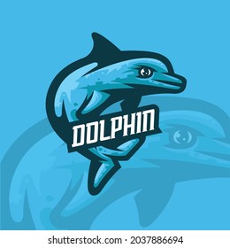 Dolphin Mascot Illustration Vector Design