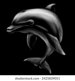 Dolphin. Monochrome, graphic image of a dolphin on a black background. Digital vector graphics