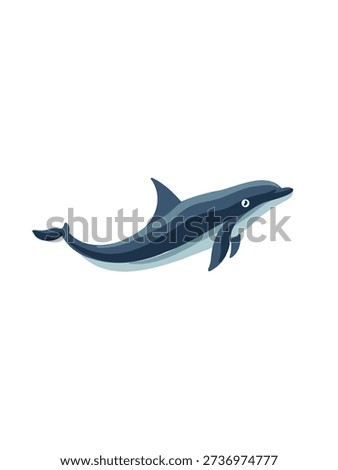 dolphin moving gracefully on white background
