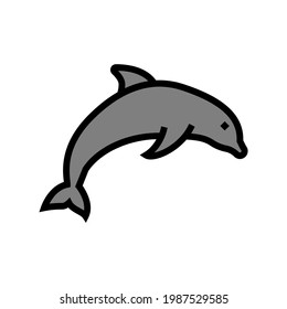 dolphin ocean color icon vector. dolphin ocean sign. isolated symbol illustration