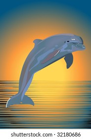 dolphin on a background a sea