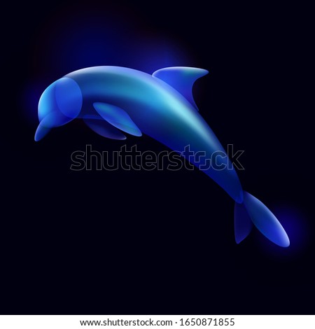 Delfin Farbfoto