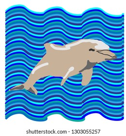 
dolphin on blue background