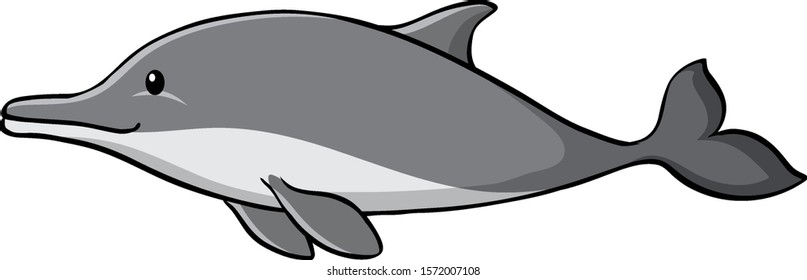 Dolphin on white background illustration