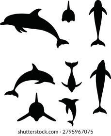 Dolphin and Orca Silhouette Collection Featuring Marine Mammals and Ocean Wildlife Vector Illustration Set.
