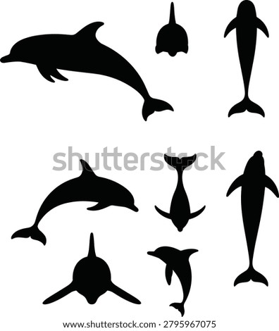 Dolphin and Orca Silhouette Collection Featuring Marine Mammals and Ocean Wildlife Vector Illustration Set.
